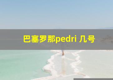 巴塞罗那pedri 几号